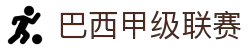 巴西甲级联赛 - 巴西足球甲级联赛官方中文网站